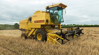 Winter Barley Harvest  New Holland Clayson 8055 [upl. by Nima]