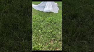 DIY  Pitching a GLAMPENT Tent Tarp Glamping Camping Geodesic Dome Garden Greenhouse  How To [upl. by Asiluj]