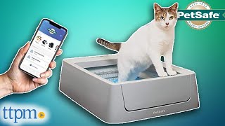 SelfCleaning Litter Box Review  ScoopFree  PetSafe  TTPM Pet Review [upl. by Neibaf986]