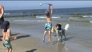 Kaiserbad Heringsdorf Strandspaziergang bis Bansin vorbei am Hundestrand am 2882013 tubehorst1 [upl. by Ymot52]