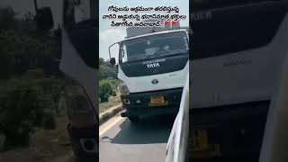 Chase of illegal transportation of gowmatha at seethagondi adilabadlove durgapuja naivedyam hmtv [upl. by Rezzani357]