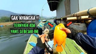 GILAAAA‼️ TERNYATA ADA JUGA IKAN NAHOL YANG SEBESAR INI  mancing ikan red devil saguling terbaru [upl. by Ahsirkal40]