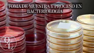 2 Toma de muestra y procesamiento en Bacteriología [upl. by Omocaig]