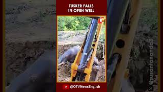 Watch Tusker Falls In Open Well In Kalahandis Narla Rescued Safely With Help Of JCB Crane [upl. by Laet]