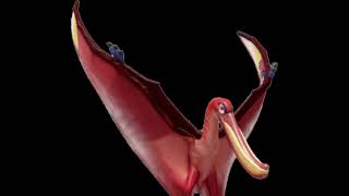 Pterodaustro Roar Dino Dan [upl. by Kared]