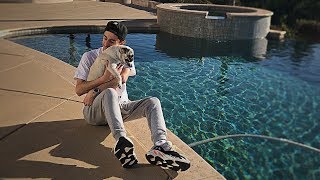 Today I saved my dogs life scariest moment ever  FaZe Rug [upl. by Favien]