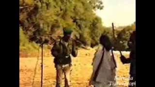 TPLF Song  Ms Hzbna ምስ ህዝብና [upl. by Yajet]