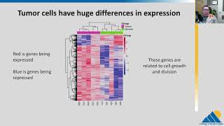 BIOL201 Ch167  Cancer and Gene Regulation [upl. by Nedda344]