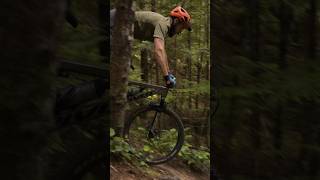 Pivot Firebird vs Yeti SB160 [upl. by Gahan]