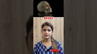 Complete Guide to Skull Anatomy Cranium Facial Bones Ear Bones amp Hyoid Explained [upl. by Ellery]