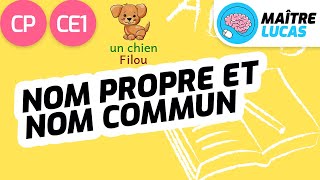 Nom propre et nom commun CP  CE1  Cycle 2  Français  étude de la langue Orthographe [upl. by Atinuaj]