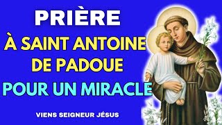 ✨ La PRIÈRE à SAINT ANTOINE de PADOUE pour un MIRACLE ✨ [upl. by Nohtahoj410]