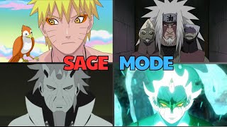 Sage Mode Explained Everything You Need To Know About Sage Mode [upl. by Egrog]