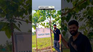 Short 271  Vamshi Farms  Gachibowli  Injapur  vamsee [upl. by Othe]