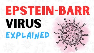 What is the EpsteinBarr Virus  2 Minute RAPID REVIEW [upl. by Erdman654]