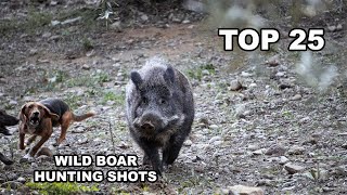 TOP 25 WILD BOAR HUNTING SHOTS [upl. by Kendell]