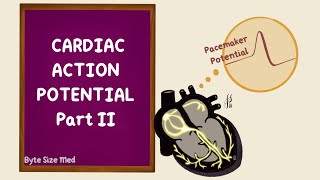 Action potentials in pacemaker cells  Circulatory system physiology  NCLEXRN  Khan Academy [upl. by Naelopan]