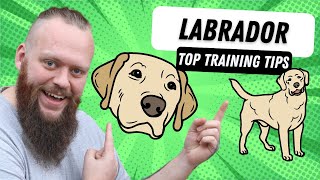 3 Top Tips for Training Your Labrador [upl. by Tevis786]