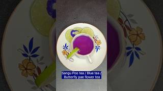 Sangu Poo tea  Blue Tea  Butterfly pae flower tea [upl. by Terrel807]