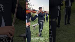 Mariachi Real Tamazula La Feria de las Flores [upl. by Ellessig]