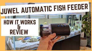 Juwel Easy Feed automatic fish feeder review  how to use it and how long it lasts [upl. by Sikorski]