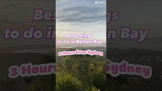 Best Things to do in Nelson Bay shorts youtubeshorts viralshorts [upl. by Nai661]