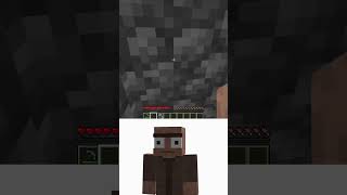 Secret Oi Oi Oi Room in Village shorts meme minecraft [upl. by Kallman]