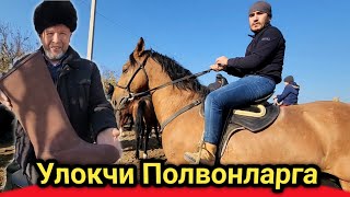 OT BOZOR 26112024 НАМАНГАН ШОХИДОН ОТ БОЗОРИ ЭТИК 10 ЙИЛ КАФОЛАТ [upl. by Sverre598]