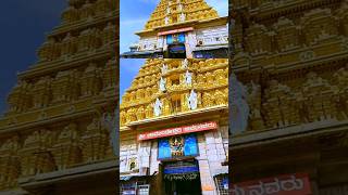 Mysore Dasara Begins Today at chamundeshwari temple youtubeshorts mysoredasara [upl. by Ahc]