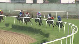 RACE NO  57  GUTSY WINS  The Shamardal Handicap Div1 [upl. by Aretse388]