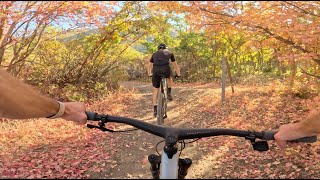 Amazing Fall Flow at Lambert Park  Utah MTB POV [upl. by Nerad]