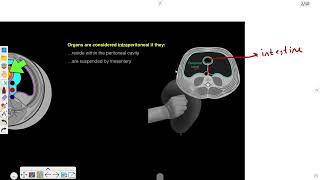 GIT  peritoneum  1 Anatomy of Peritoneum [upl. by Llenrag]