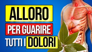 MALATTIE che GUARISCE l ALLORO Proprietà e benefici foglie di ALLORO [upl. by Decato540]