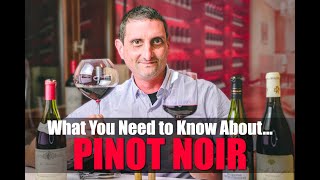 Everything You Need to Know About Pinot Noir [upl. by Luigi]