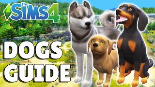 Everything You Need To Know About Dogs In The Sims 4 [upl. by Bouzoun334]