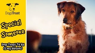 Special Someone  Dogs Trust TV Ad Long Version [upl. by Ytinirt527]