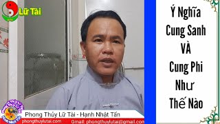 Giải Nghĩa Cung Sanh Và Cung Phi Khác Nhau Thế Nào [upl. by Creigh]