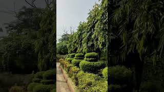 B Garden  Botanic garden Shibpur Howrah  gardens  travel  short [upl. by Nolie]