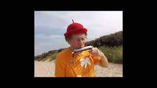 quot De Zomerse Heide quot  Harmonica at the Seaside 20240806Take2 Cadzand  The Netherlands [upl. by Elysee848]