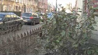 Exposed Shocking living conditions in Glasgows Govanhill [upl. by Charmion634]