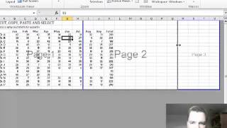 Excel Video 224 Page Break Preview [upl. by Hewie]