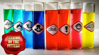 🏭🍄💄Chemical Exposure Explained  Chemical Exposure HSE  Chemical safety  Toxicity Chemical intake [upl. by Huberman]