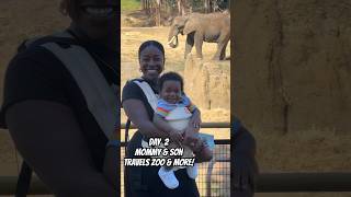 MOMMY amp SON TRAVELS OAKLAND ZOO boymom [upl. by Gabriell]