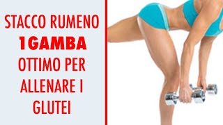 STACCO RUMENO AD UNA GAMBA TUTORIAL  🤩 GLUTEI E GAMBE [upl. by Dnar]