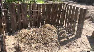 Starting a new compost pile feed the chickens [upl. by Akahs]