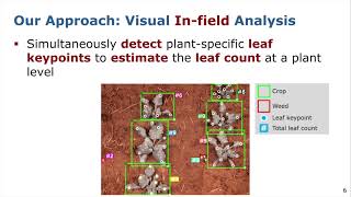 RALICRA21 Joint Plant Instance Detection and Leaf Count Estimation for Phenotyping by Weyler [upl. by Nymassej]