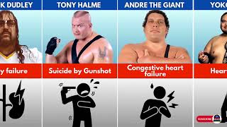 How Famous WWE Wrestlers Died [upl. by Ayal]