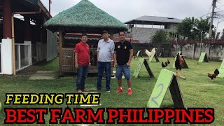 Feeding Time All Weather Facilities Big Farm in Philippines Doc Marvin [upl. by Aslam]