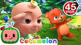 Animal Dance Song  More  CoComelon Animal Time  Learning with Animals  Nursery Rhymes for Kids [upl. by Gerg]