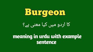 Burgeon meaning in Urdu  English  Hindi  Burgeon with sentence example How to pronounce burgeon [upl. by Gemperle]